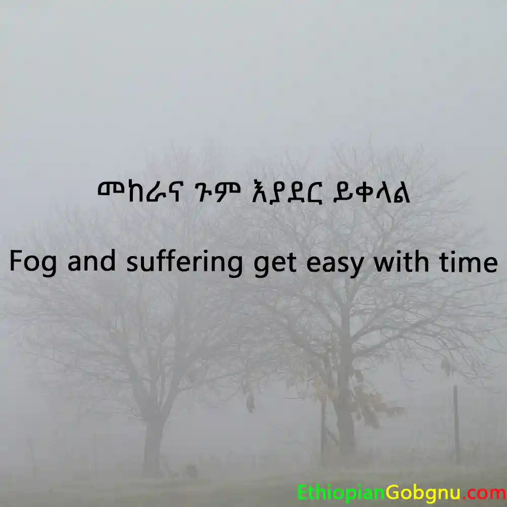 Ethiopian Proverb